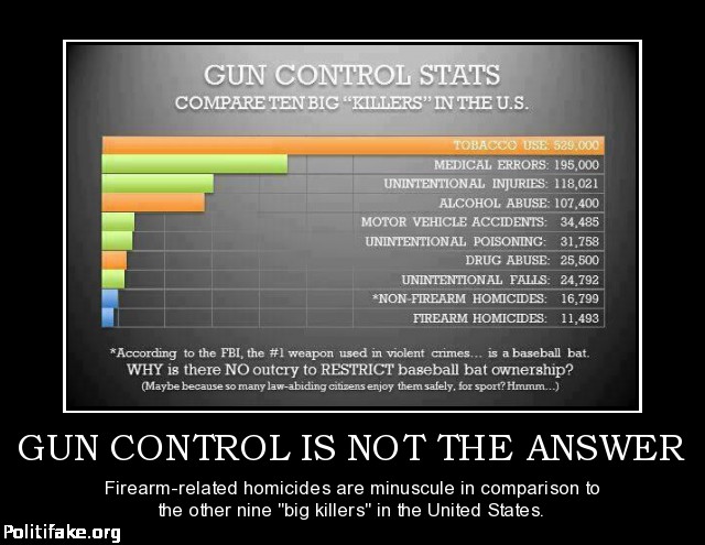 gun-control-not-the-answer (1)